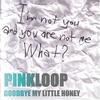 CD PINKLOOP - GOODBYE MY LITTLE HONEY KOCA14 Grooovie Drunke 2003 Japan ObiRock Used