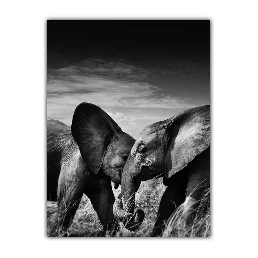 Animal Elephant Black and White Print Art Canvas Poster For Living Room Decoration Home Wall Picture