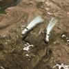 1 Stück Stachelkrebs Garnelen Krabben Angelköder Mit Scharfen 4X Haken Verschiedene Gewichte Perfekt Für Salzwasser Süßwasser Angeln