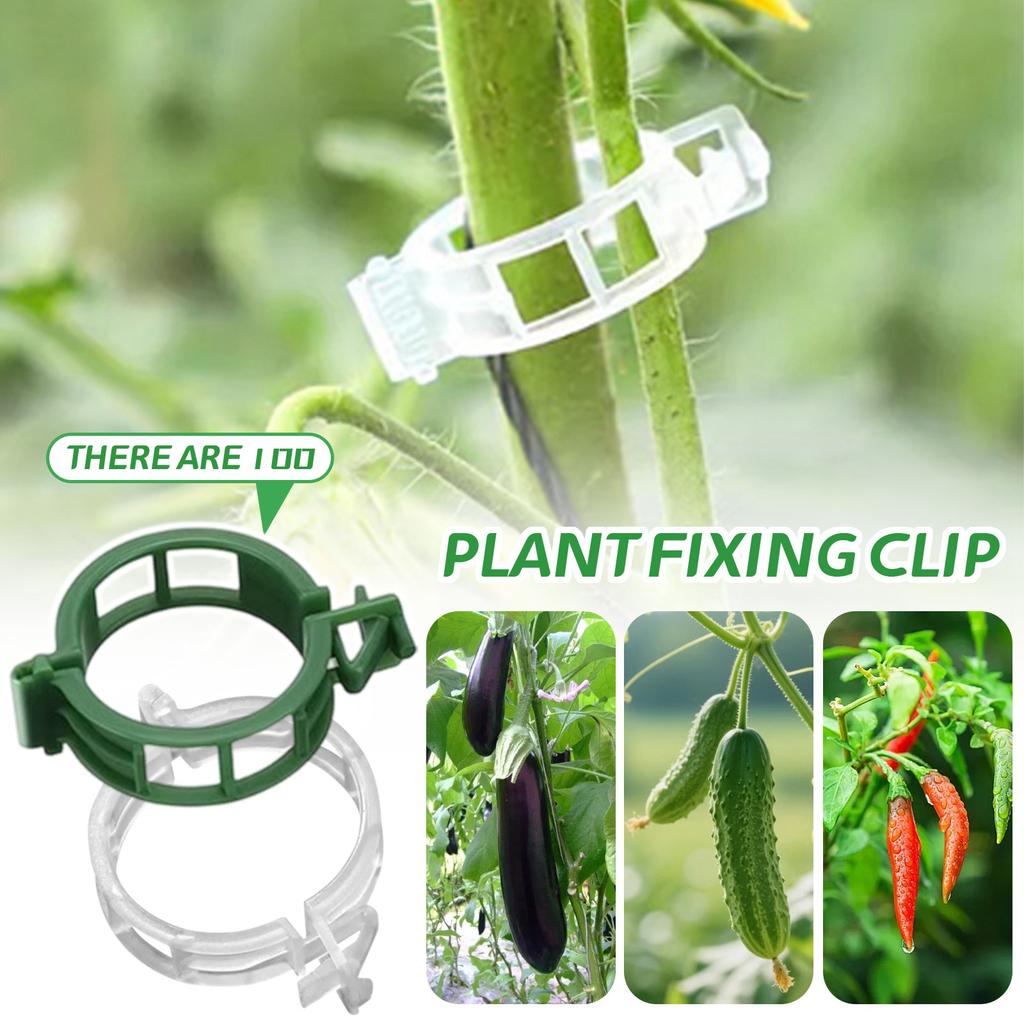 100pcs Plastic Clips Garden Climbing Vine Hanging Clips Vine Clips Tomato Large Plant Fixing Clips Gardening Supplies
