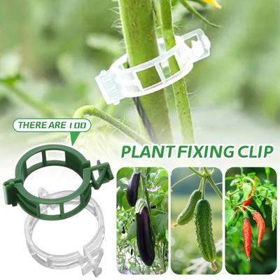 Lot de 100 pinces en plastique pour suspendre des plantes grimpantes, des tomates et des grandes plantes. Fournitures de jardinage