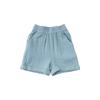 Noe Shorts 7617t 413 21