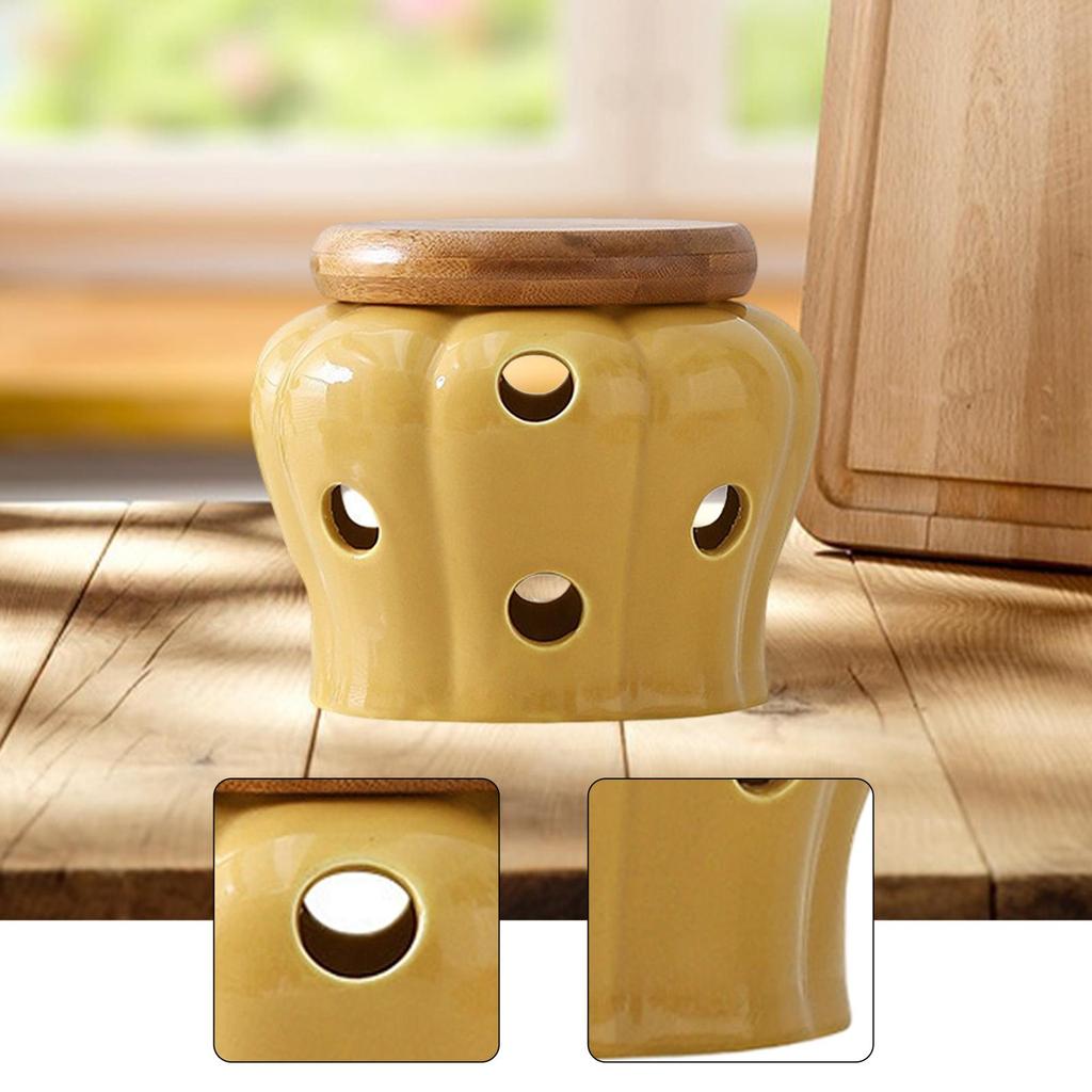 Garlic Keeper Ventilation Decorative Round Modern Collection Cellar Pot for Kitchen Garlic Holder Storage Container with Lid