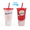710ml Straw Cup with Lid Single-layer Christmas Magical Color Changing on Cold Cup for Trip