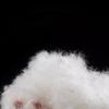 Bainian Xinyue Hotel 70% White Duck Down Comforter