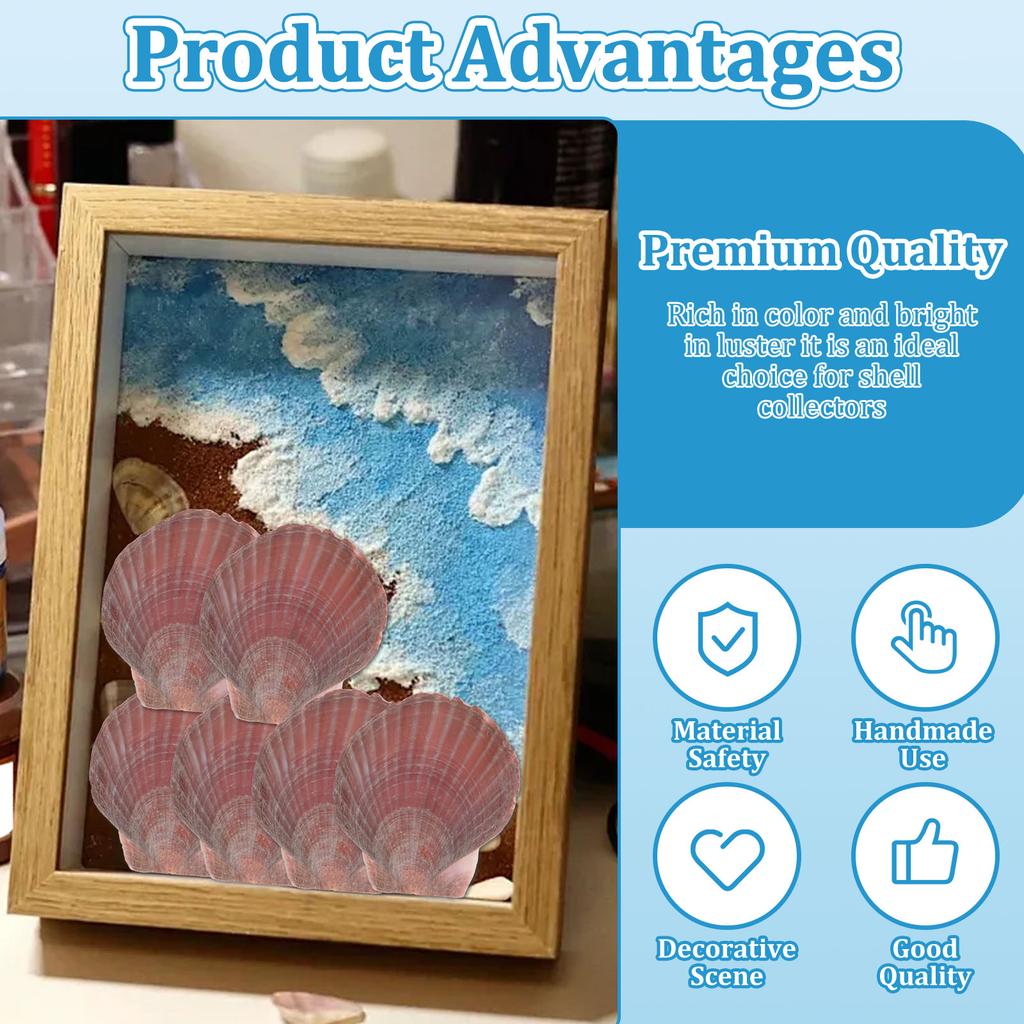 30Pcs Scallop Shell Set 2.76 to 3.35 Inch Decorative Processed Purple Red Sea Shell with Paint and Paintbrush for DIY Painting
