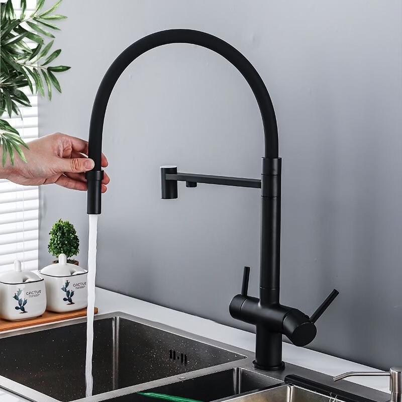 TLXT Kitchen Pull-Out Water Purifier Faucet