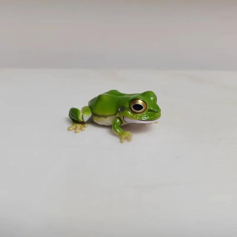 Biologische Enzyklopädie Gashapon Spielzeug Japanischer Laubfrosch Nordost-Regenfrosch Simulierte Bewegliche Tierfiguren Ornamente Spielzeug