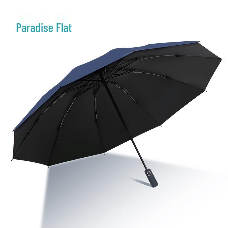 Tiangtang Automatic Business Sun & Rain Umbrella