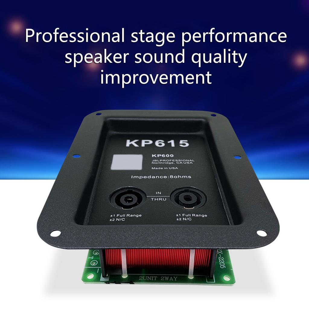 1 ΤΕΜ 450W 2 Δρόμων Ηχείο Διαχωριστής Συχνότητας Tweeter Μπάσο Φίλτρο Crossover Ενισχυτής Ηχείου Οικιακός Ήχος Θέατρο