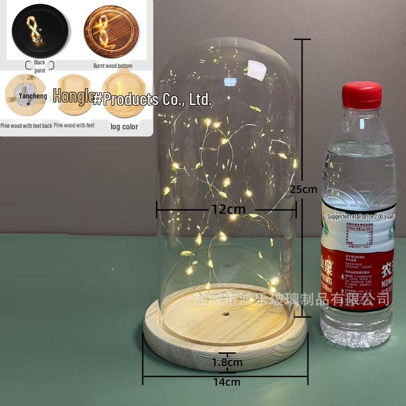 Luminous Sea Urchin Glass Dome with Preserved Flowers and String Lights