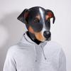 Akcesoria imprezowe – Maski karnawałowe