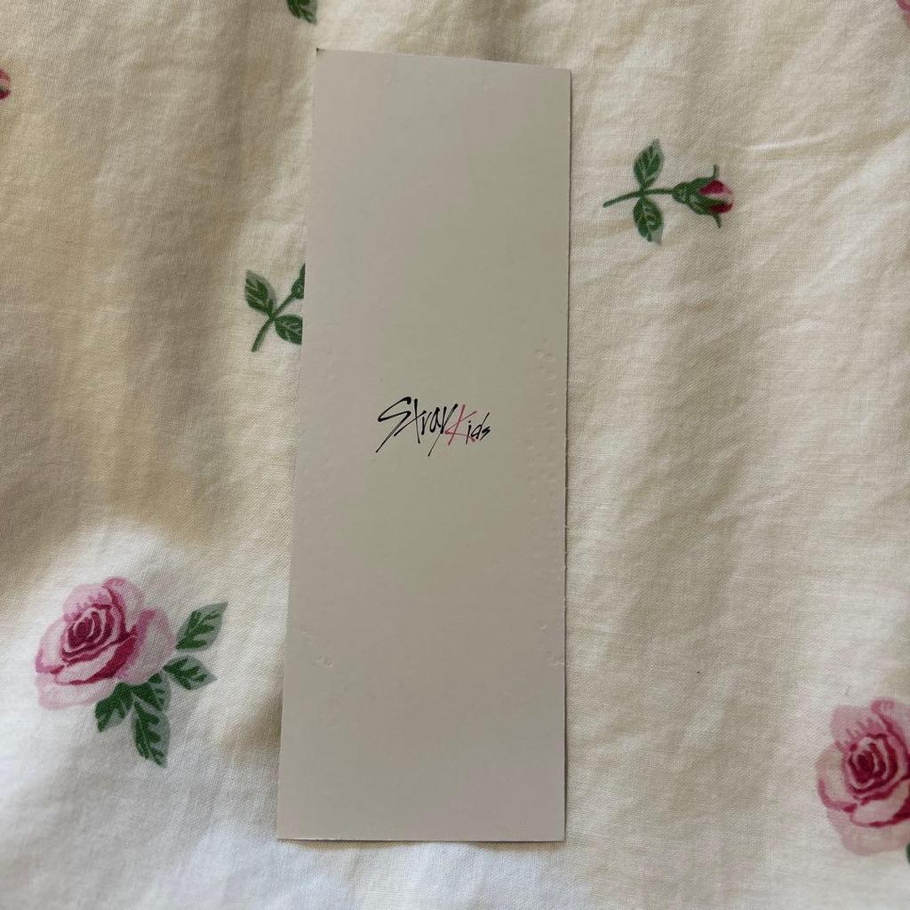 [USED] Stray Kids Album Stray Kids Maxident