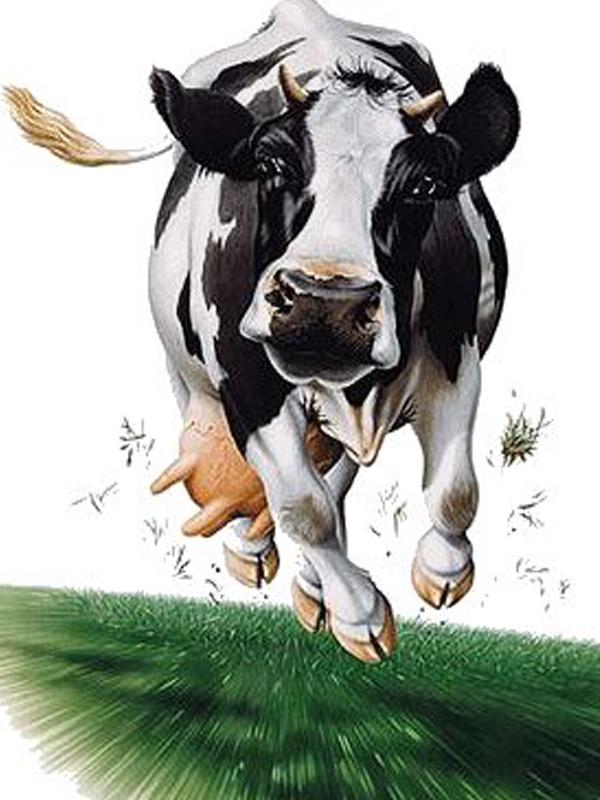 

Алмазная картина Корова 5D Алмазная картина Полный дрель Набор для вышивки крестом Даймонд Картина Полный дрель 20*30cm