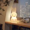 28CM Miffy Kawaii Colorful Remote-controlled Bedroom Ambient Light Cartoon Night Light Cute Gift Toy 6