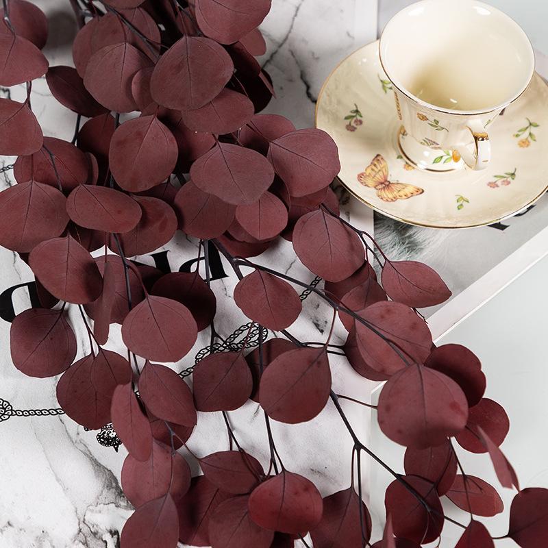 Eternal Apple Eucalyptus Millet Fruit Leaves Beauty Leaves Eucalyptus Leaves Air Dried Flowers And Leaves Multicolor Eucalyptus Leaves Home Decoration