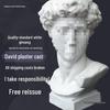 Plaster Cast Geometric Sculpture Set for Art and Photography