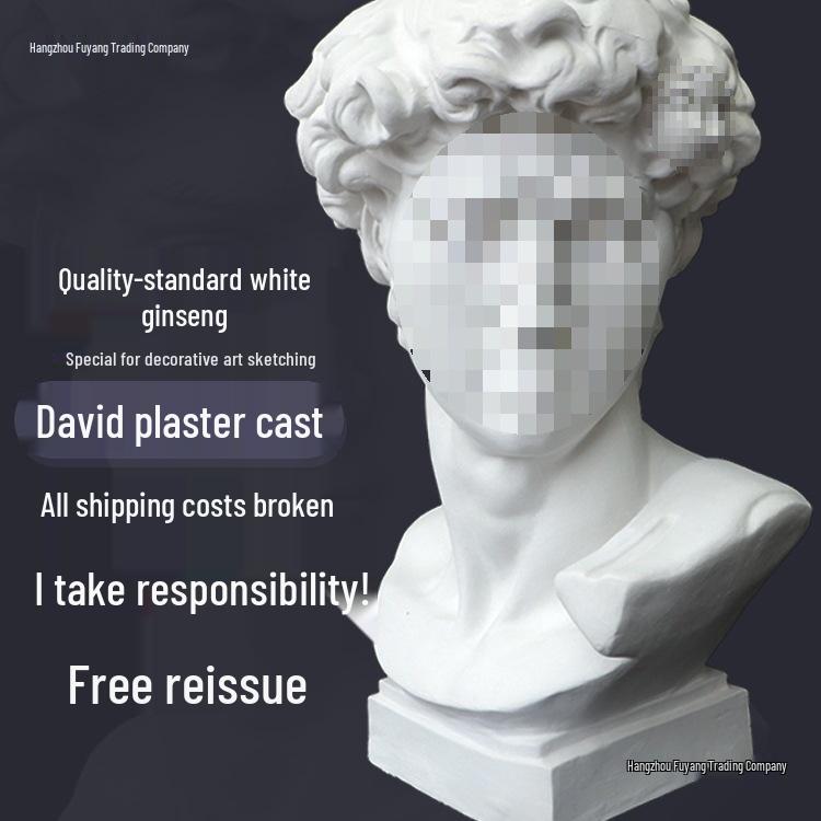 Plaster Cast Geometric Sculpture Set for Art and Photography
