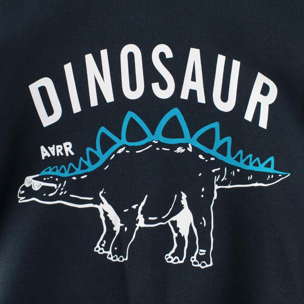 27Kids Autumn/Winter Children's Fleece Pullover Sweatshirt for Baby Boys