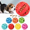 NEW Dog Ball Toys For Small Dogs Interactive Elasticity Puppy Chew Toy Tooth Cleaning Rubber Food Ball Toy Pet Stuff Accessories