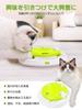 Electric Cat Solitary Interactive Cat Cat Cat Educational Stress Play Rotating Includes 5 Replacement Kitten Pet Cat Never Bored Toy, Automatic, Play,