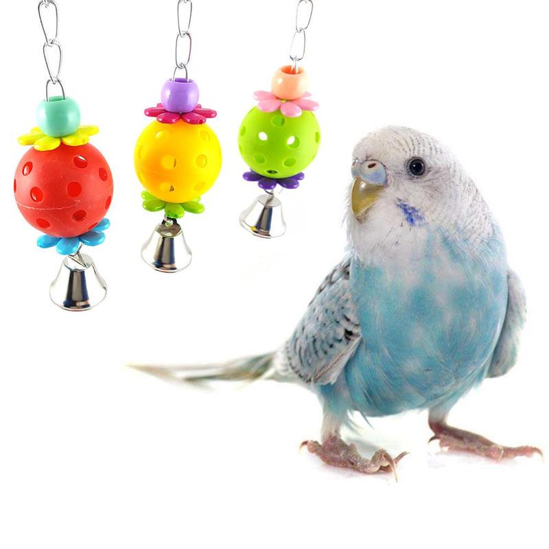 budgie mirror