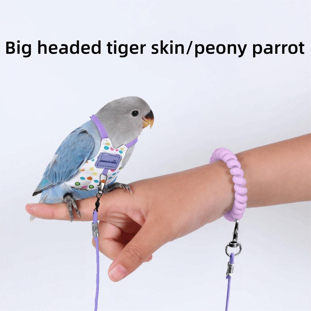 Adjustable Parrot Flying Harness Anti-Bite Parrot Flight Harness Bird Flight Suit  Small Parrots