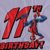 Spider-Man Womens/Ladies 11th Birthday T-Shirt