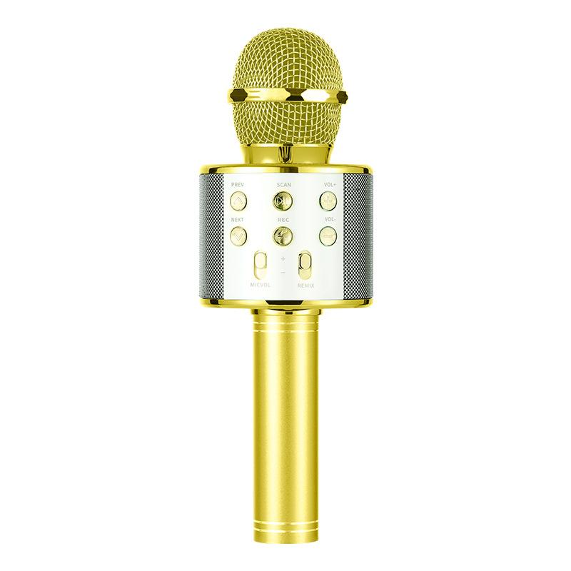 Wireless Bluetooth Karaoke Microphone for Kids, 5-in-1 Portable Handheld Karaoke Mic Speaker Player Recorder with Adjustable Remix FM Radio