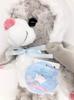 Local Bear: Hashiba Shoten Siberian Flying Squirrel Plush Toy, Size Small, by Makoto Fujini [HASHIBA Exclusive]