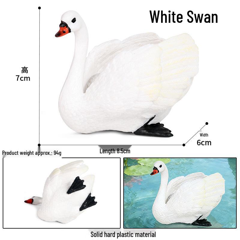 Realistic Warty-Nosed Swan Heart Model: Children's Cognitive Toy & Zoo Decoration