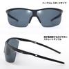 Daiwa Triacetate Polarized Gray DN-8025 Sunglasses,