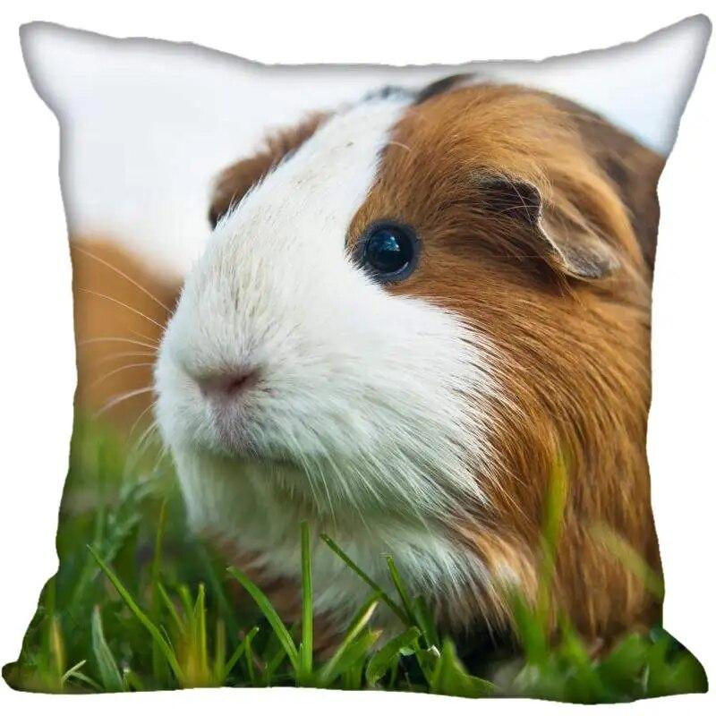 Living Room Pillowcase Guinea Pig   Modern Home