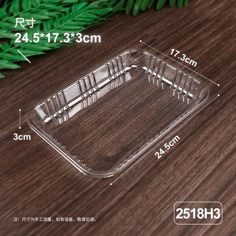 Disposable Rectangular Food Trays (100-Count)