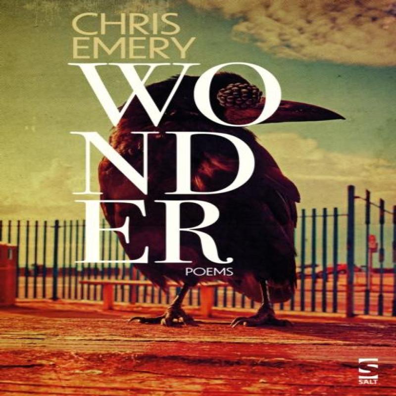 Wonder by Chris Emery Paperback Book 9781784633707