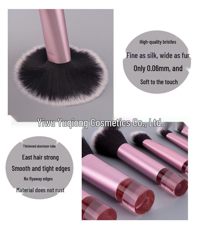 10-Piece Mini Makeup Brush Set with Soft Blush Brush, Powder Puff, Sponge, and Bag