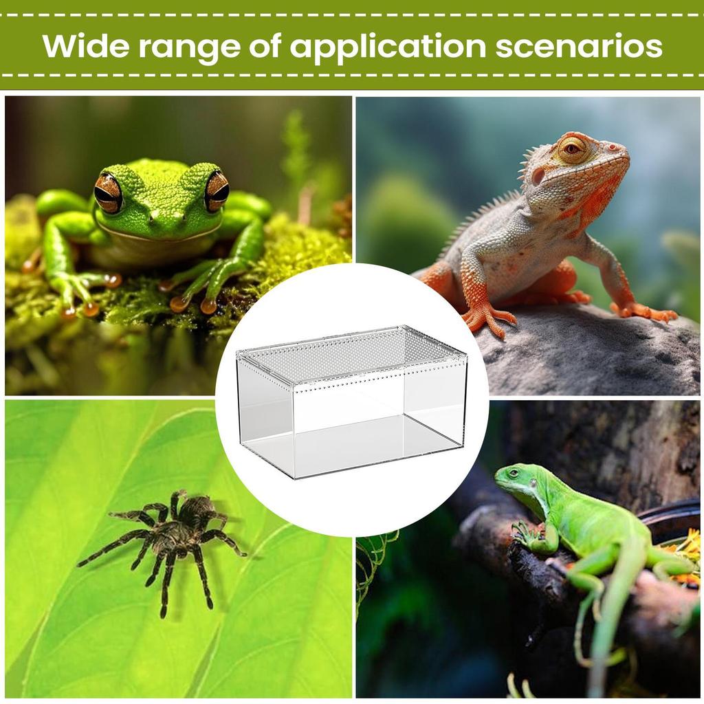 Spinnengehege Transparentes Reptilien-Terrarium-Behälter-Habitat Mit Belüftung Für Vogelspinne Gecko Schlange Frosch Skorpion Eidechse