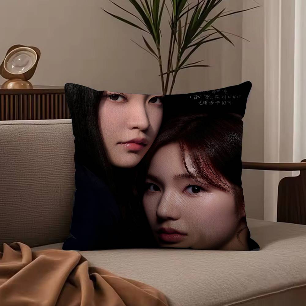 Hot Korea TV B-Bitch X R-Rich Pillow Case Anti-dustmite Pillowcase Invisible zipper silky short plush Sofa cushion cover