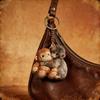 Protect Punch The Monkey Keychain Lightweight Bag Charm Mini Accessory Wallet Charm Backpack Decoration
