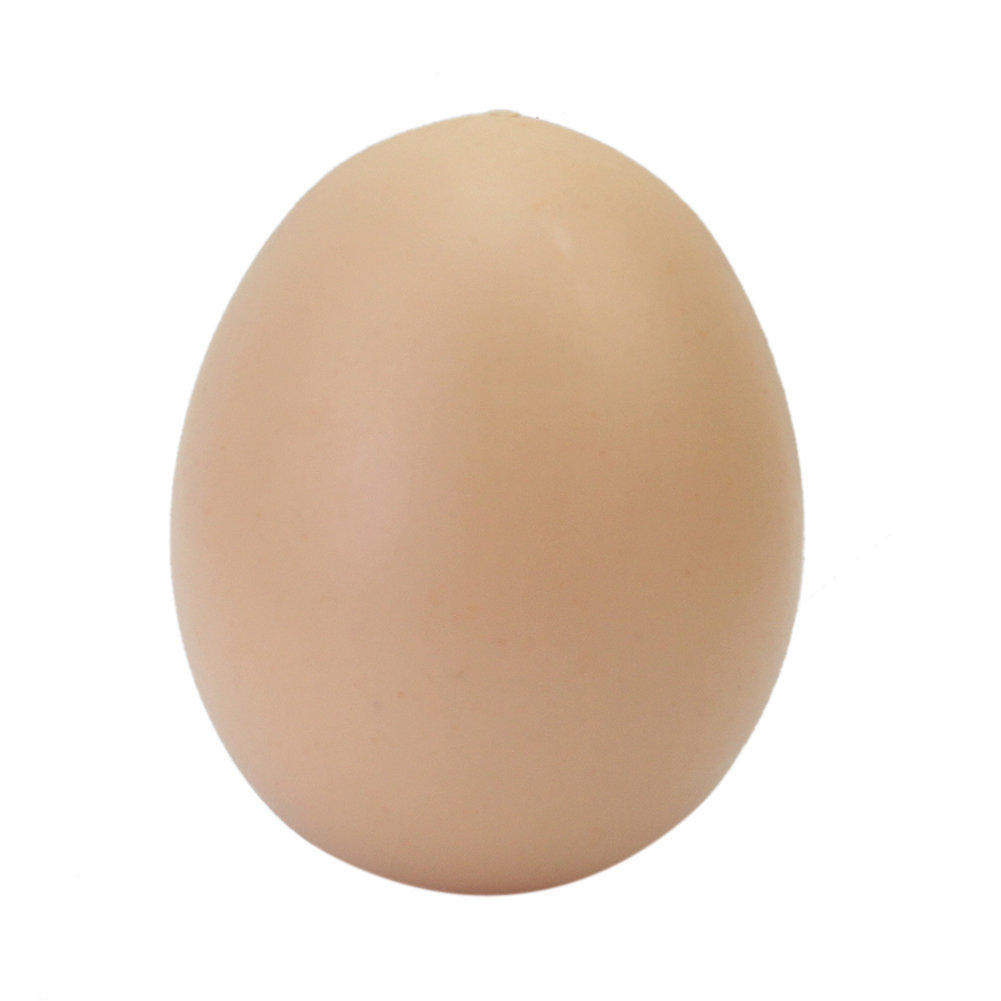 Buy Fake Dummy Egg For Chicken Duck Geese Hatch Incubation Breeding X 5