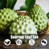 40 Premium Soursop Graviola Leaf Tea Bags, 100% Natural and Pure from Soursop Leaves, Handmade, Made With Natural Materials-Corn Fiber Tea Bag