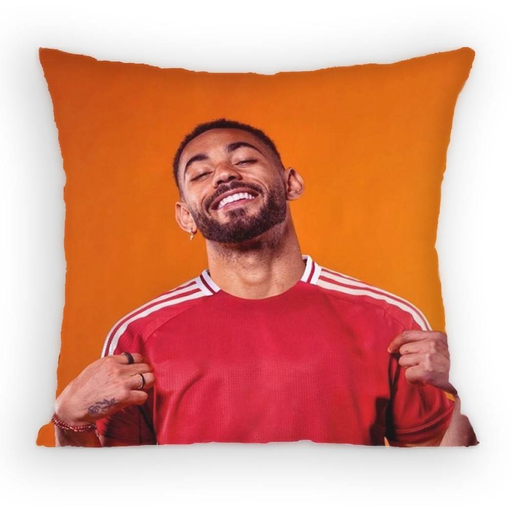 Matheus Cunha Pillow Case Antidustmite Pillowcase Invisible zipper silky Sofa cushion cover for bedroom