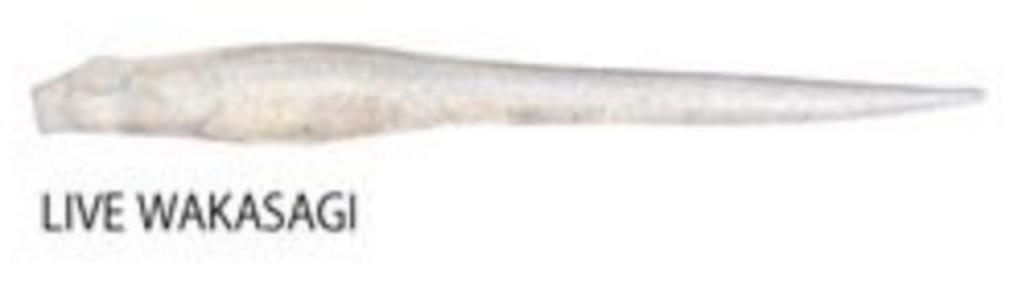 Megabass Soft Lure Hazedong 4 Inches Live Wakasagi (0640)