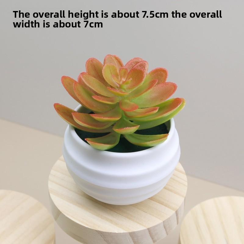 Plant Plastic Succulent Lotus Artificial Potted For Indoor Decoration And Gifts