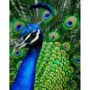 DIY PEACOCK 5D Diamantmaling Hel Rund Drill FUGLER Diamantbroderi Korssting Mosaikksett Harpiks Vegg Art Home Decor