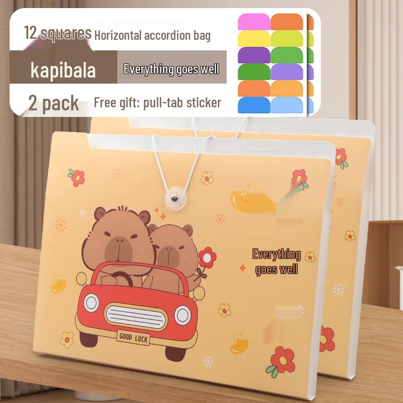 Accordion Bag 5250: Junior High Student Handheld Storage Folder