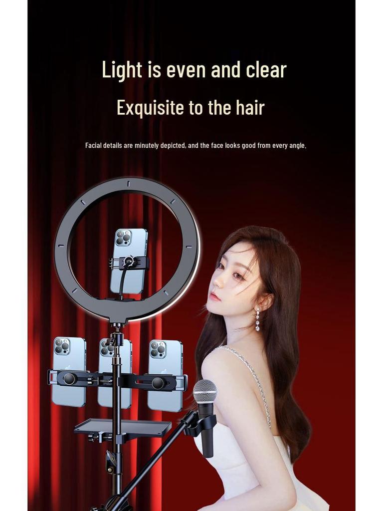 Dual-Position Carbon Steel Phone Stand with Fill Light for Outdoor Streaming