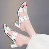 Korean Style Women's Mid-Heel Summer Sandals: Fashionable Non-Slip Chunky Slides for Students
