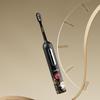 ApiYoo T2 Sonic Electric Toothbrush - Prosperous Art Series CN plug (adapter included)