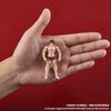 DIG Hanma Baki Figure 70mm PVC Painted Complete Non-Scale